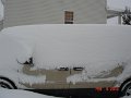 Snow Blizzard